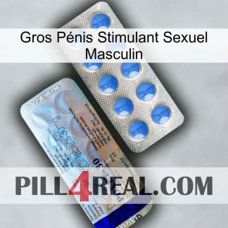 Gros Pénis Stimulant Sexuel Masculin 39